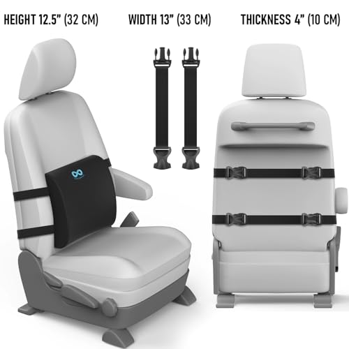 Ergo Seat Cushion and Lumbar Support Combo