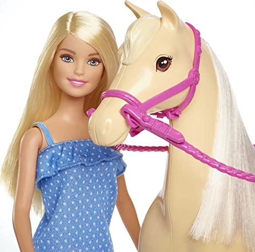 Barbie FXH13 - Horse and Doll with Movable Knees