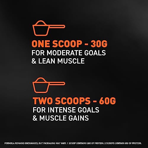 Chocolate Whey Protein Powder, 1.78 lb