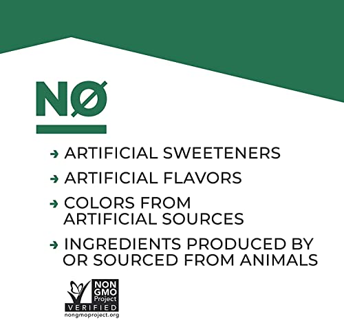 4-Pack Evolve Double Chocolate Plant Protein Shake