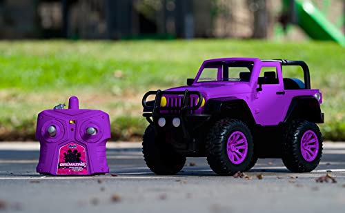 Barbie-themed Purple Jeep R/C Toy (1:16 Scale)