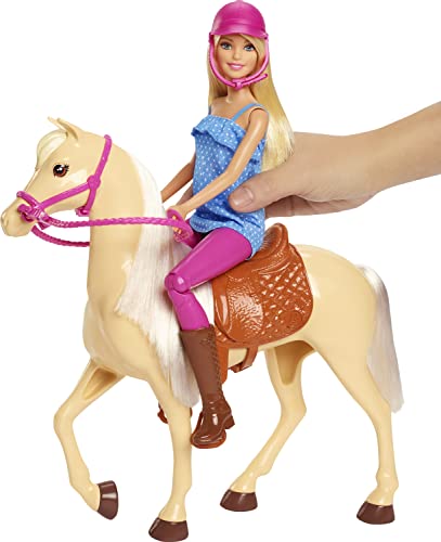 Barbie FXH13 - Horse and Doll with Movable Knees