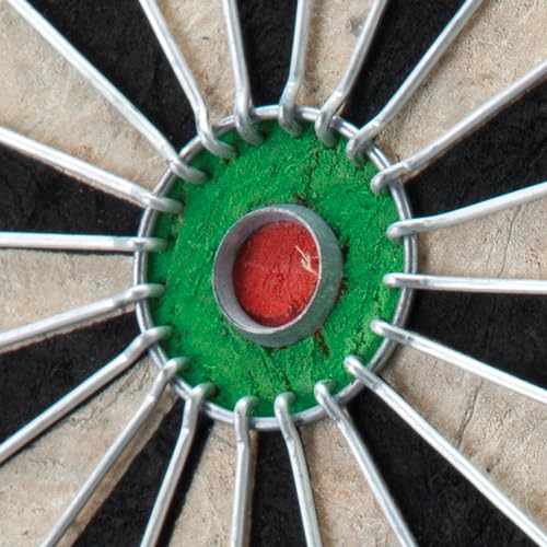 Viper Shot King Bristle Steel Tip Dartboard Set