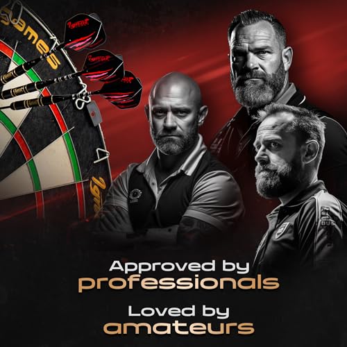 Professional Steel Tip Darts Set with Case