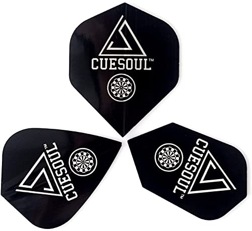 CUESOUL 25g Tungsten Steel Tip Darts Set