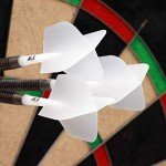 CUESOUL 2 Sets ROST Dart Shafts and Flights