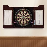 Viper Hudson Complete Dartboard Set