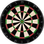 Tournament Size Bristle Dart Board with Mounting Kit