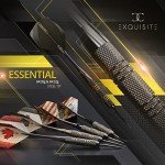 Professional 12-Piece Steel Tip Darts Set