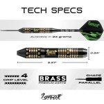 IgnatGames Professional Brass Steel Tip Dart Set