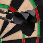 CUESOUL 2 Sets ROST Integrated Dart Shaft and Flights