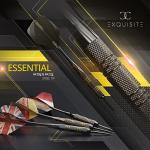 Professional 12-Piece Steel Tip Darts Set