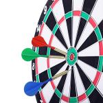 Accmor 18 Pack Steel Tip Darts, 16 Grams Metal Tip Dart Set, Darts Metal Tip Set, Metal Darts for Dartboard