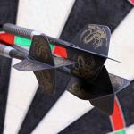 CUESOUL 2 Sets ROST Integrated Dart Shaft and Flights