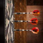 Viper by GLD Products The Freak Steel Tip Darts Knurled and Grooved Barrel, Extended Band, 22 Grams, Black (22-1704-22)