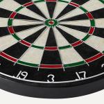 Amazon Basics Dartboard, Dart Board for Adults, Regulation Size