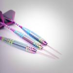 ROOBEEO Steel Tip Darts 3 Pack Professional Darts Set with Brass Barrels Aluminum Shafts Extra 3 PVC Dart Shafts 8 Flight Protectors 12 Rubber O-Rings Dart Storage Case (Purple)