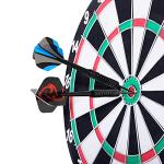 Accmor Darts Metal Tip Set, 12 Pack Steel Tip Darts Darts Set 24Grams Professional Metal Darts