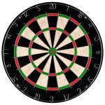 Tournament Size Bristle Dart Board with Mounting Kit