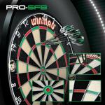 WINMAU Professional SFB Dartboard with Bristle Material