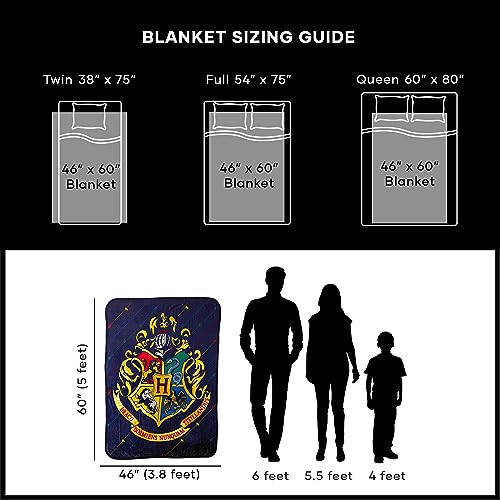 Harry Potter House Pinstripes Micro Throw Blanket