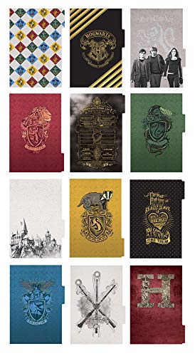 Harry Potter 12-Month Planner with Stickers