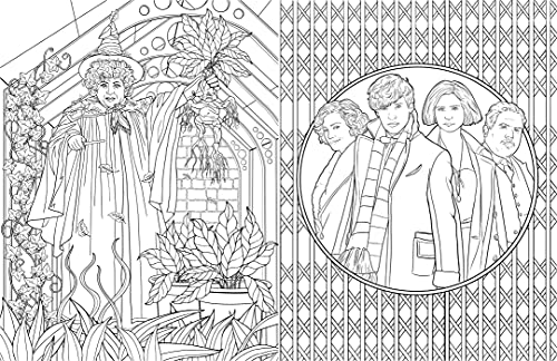 Official Harry Potter House Pride Coloring Book Set