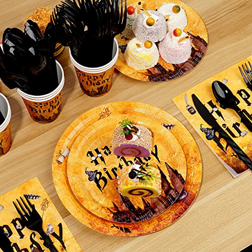 Wizard Birthday Party Supplies, Decor Set for 25