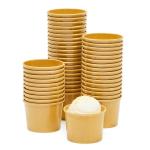 50 Disposable 5 oz Ice Cream Cups