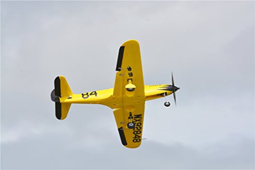 Rochobby P39 Cobra II RC Airplane - Yellow