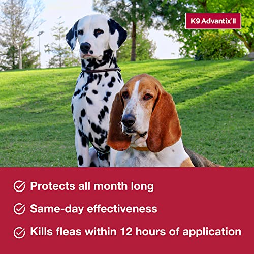XL K9 Advantix II: Flea & Tick Prevention