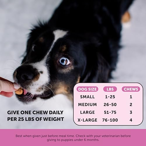 Pet Honesty Multivitamin Dog Supplement - 90 ct
