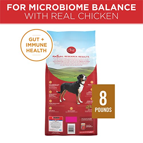 Purina ONE Chicken & Rice Dry Dog Food 8lb