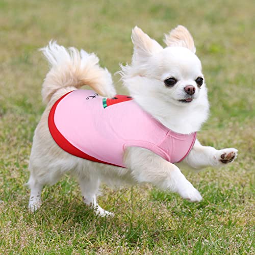 Cute Printed Dog Shirts for Small Pets