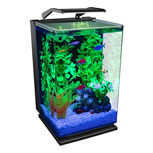 GloFish LED Aquarium Kit with Filtration