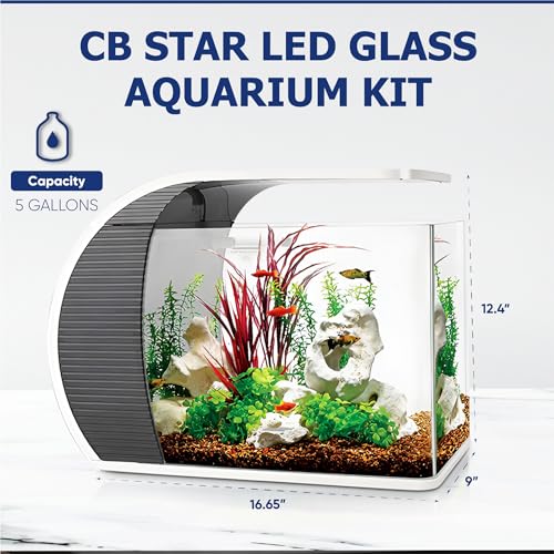 5 Gallon Arc-Shaped Glass Fish Tank Kit