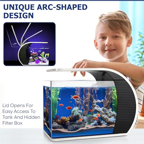 5 Gallon Arc-Shaped Glass Fish Tank Kit