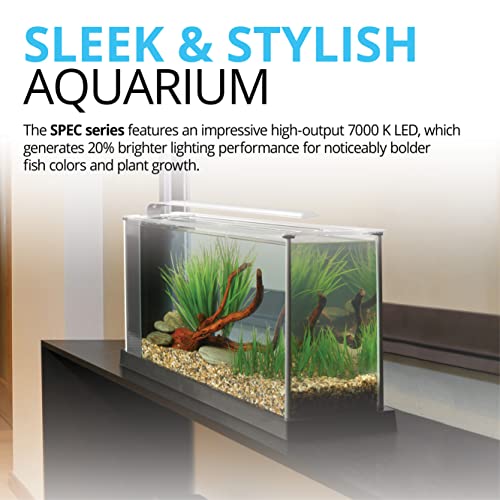 Fluval SPEC 5-Gallon Aquarium Kit with LED Lighting