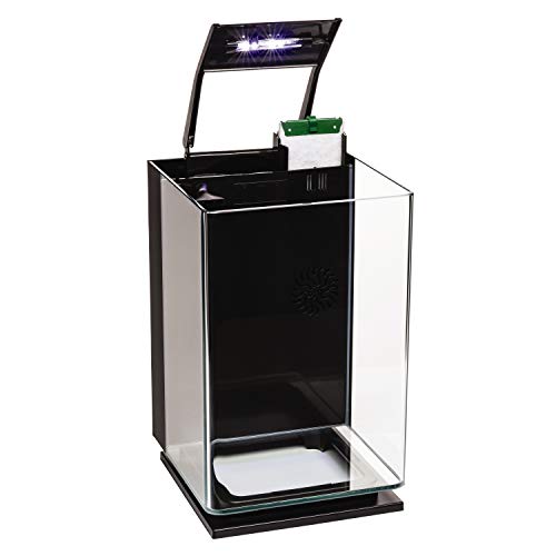 GloFish LED Aquarium Kit with Filtration