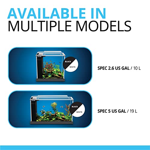Fluval SPEC 5-Gallon Aquarium Kit with LED Lighting