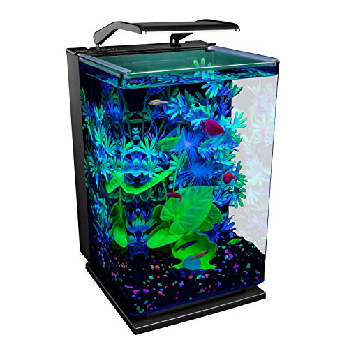 GloFish LED Aquarium Kit with Filtration