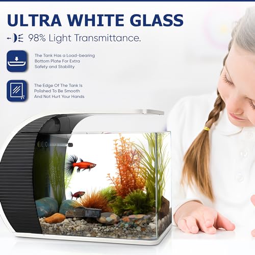5 Gallon Arc-Shaped Glass Fish Tank Kit