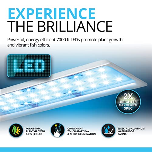 Fluval SPEC 5-Gallon Aquarium Kit with LED Lighting