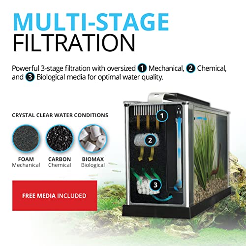 Fluval SPEC 5-Gallon Aquarium Kit with LED Lighting