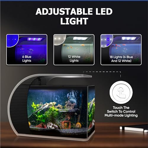 5 Gallon Arc-Shaped Glass Fish Tank Kit