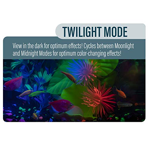 GloFish LED Aquarium Kit with Filtration