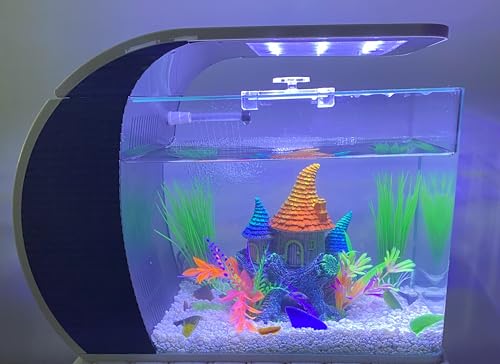 5 Gallon Arc-Shaped Glass Fish Tank Kit