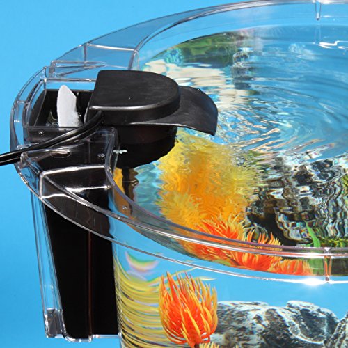 Koller AquaView 4.5-Gallon Aquarium Starter Kit