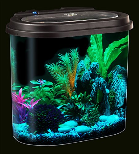 Koller AquaView 4.5-Gallon Aquarium Starter Kit