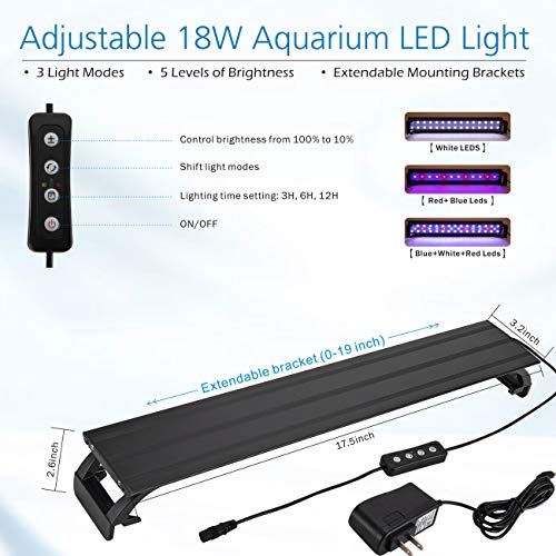 Hygger 8 Gallon Curved LED Aquarium Kit